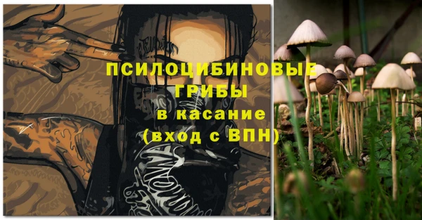 гидра Балабаново